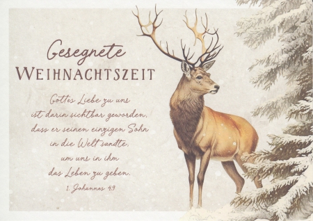 *verschiedene Postkarten „Weihnachten 2“